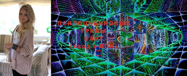 ECSTASY Балахна