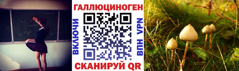 Псилоцибиновые грибы мицелий Сосновоборск